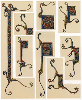 Warner Prints: Illuminated initial letters, 13th century