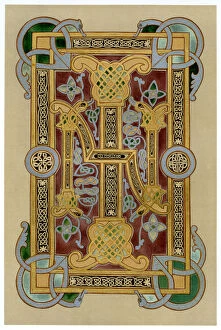 Images Dated 15th September 2007: Illuminated initials I and N, 9th century