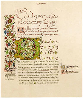 Images Dated 15th September 2007: Illuminated letter D, 15th century