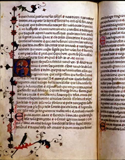 Library Of The University Gallery: Illuminated page of the Chronicle of James I or Llibre dels feyts del Rey en Jacme