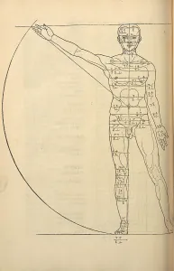 Albrecht 1471 1528 Prints: Illustration from the Four Books on Human Proportion
