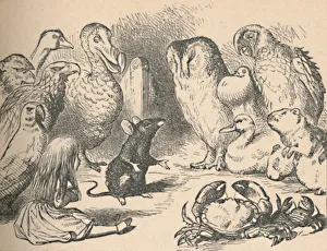 Illustration for the chapter a Caucus-Race and a long tail'. Alice and various creatures, such as Artist: John Tenniel Illustration for the chapter a Caucus-Race and a long tail'. Alice and various creatures, such as Artist: John Tenniel