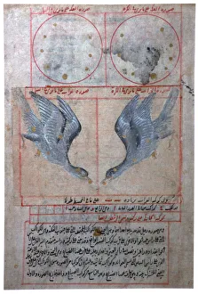 Illustration of the Constellations of the Southern Hemisphere, 16th century