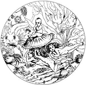 Charles Kingsley Collection: Illustration from the fairy tale The Water-Babies, by Charles Kingsley, 1863. Artist: Noel Paton