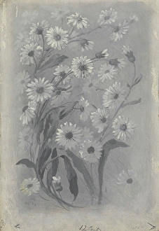 Blooming Prints: Illustration to Henrik Wergeland