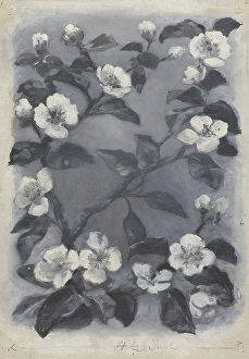 Apple Blossom Prints: Illustration for Henrik Wergeland