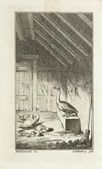 Illustration for Mathias Claudius Asmus Omnia sua secum Portans, (Published 1783?). Creator: Johann Rudolf Schellenburg