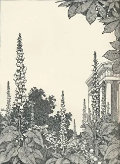 Robinson Prints: Illustration to A Midsummer Nights Dream, 1914, (1925). Artist: W Heath Robinson