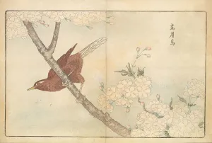 Landscapeanimals And Birds Prints: Illustration from Pictures of Imported Birds