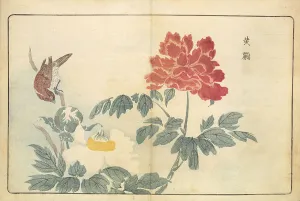 Landscapeanimals And Birds Prints: Illustration from Pictures of Imported Birds