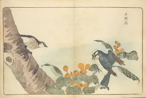 Landscapeanimals And Birds Prints: Illustration from Pictures of Imported Birds