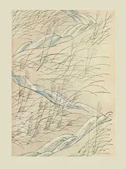 Sekka Prints: Illustration from Shin bijutsukai