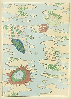 Sekka Prints: Illustration from Shin bijutsukai