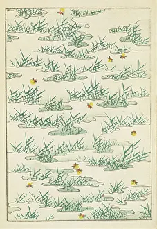 Sekka Prints: Illustration from Shin bijutsukai