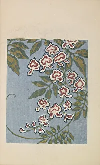 Sekka Prints: Illustration from Shin bijutsukai