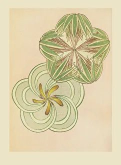Sekka Prints: Illustration from Shin bijutsukai