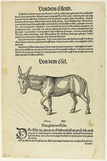 Illustration from Thierbuch, plate 42 from Woodcuts from Books of the XVI Century...1937. Creators: Hans Asper, Max Geisberg. Illustration from Thierbuch, plate 42 from Woodcuts from Books of the XVI Century...1937