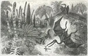 Imaginary Landscape during the Secondary Epoch, with Pterodactyls, Lias Period, 1865. Creator: Unknown. Imaginary Landscape during the Secondary Epoch, with Pterodactyls, Lias Period, 1865. Creator: Unknown