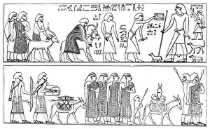 Gaston Prints: Immigration Semite in the Nomist of Mall, 1881