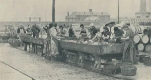 John Brown And Company1 Prints: An Important Part of the Industry. Scottish girls busy gutting at Yarmouth, 1937