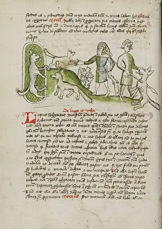 Canine Prints: An Imprisoned Wolf and a Fox and Many Dogs Nearby: A Elderly