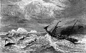 'In the midst of 'Leviathan.'; A Boat adventure in the Behring's Sea', 1875. Creator: Unknown