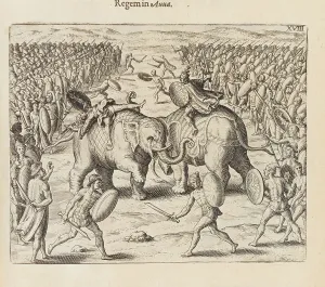 Elephants Prints: From Indiae orientalis pars septima