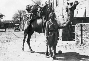 Images Dated 10th August 2007: Indian camel trooper, Baghdad, 1918