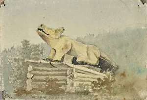 Alaska United States Of America Gallery: Indian Grave. Wolf Totem over Medicine Man Grave, Wrangell, ca. 1880-1914
