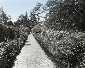 Indian Hill Farm, Moseley Family, West Newbury, Massachusetts, c1920. Creator: Frances Benjamin Johnston. Indian Hill Farm, Moseley Family, West Newbury, Massachusetts, c1920. Creator: Frances Benjamin Johnston