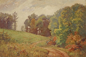 Sunny Prints: Indiana Landscape, 1909. Creator: Theodore Clement Steele