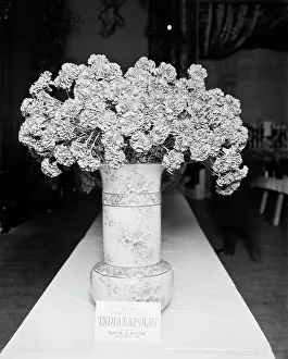 Indianapolis Indiana Usa Prints: Indianapolis carnation, American Carnation Society Exhibition