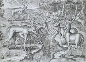 Antler Prints: Indians using deer skins to hunt deer, 1591. Creator: Theodor de Bry