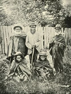Australia Oceania Gallery: Indigenous People of West Australia, 1901. Creator: Unknown
