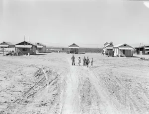 Idps Prints: Industrialized agricultural, near Niland