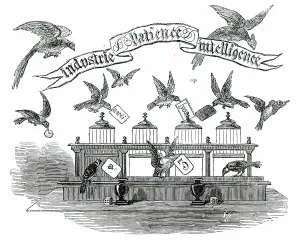 Trick Prints: Industrie, Patience, Intelligence - birds trained by Emilie Vandermeersch