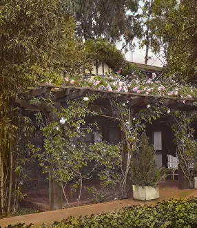 Pergola Prints: Inellan, Walter Douglas house, Channel Drive