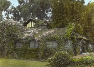 Climbing Plants Prints: Inellan, Walter Douglas house, Channel Drive