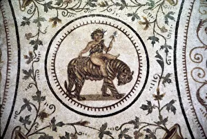 Feline Prints: Infant Dionysus Riding on a Tiger, Roman mosaic detail at El Djem, Tunisia. c2nd century