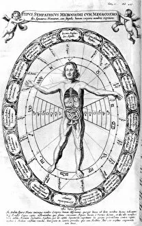 Dissection Gallery: Influence of the Universe, the Macrocosm, on Man, the Microcosm, 1678