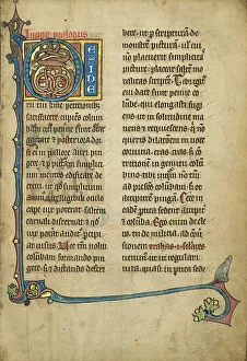 Bestiary Prints: Inhabited Initial D; De Natura Avium; De Pastoribus et Ovibus; Bestiarium