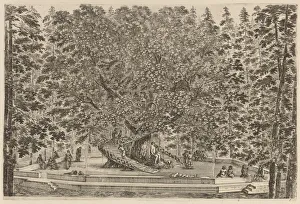 Etching On Laid Paper Restrike Prints: The Inhabited Tree, probably 1653. Creator: Stefano della Bella