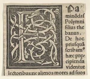 Letter E Prints: Initial letter E on patterned background, 1520. 1520. Creator: Anon