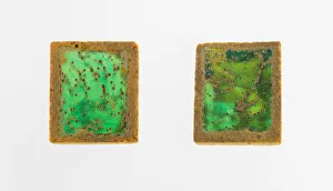 Inlay Gallery: Two Inlays, 1st-2nd century. Creator: Unknown