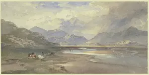 Farm Animal Prints: From the Inn valley, 19th century