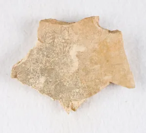 Inscribed bone fragment ('oracle bone'), Late Shang dynasty, ca. 1300-1050 BCE