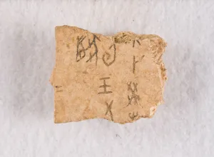 Inscribed bone fragment ('oracle bone'), Late Shang dynasty, ca. 1300-1050 BCE