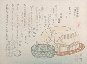 Herb Gallery: Insect Catcher and Potted Herbs, 19th century. 19th century. Creator: Shinsai
