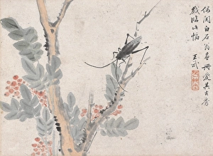 Ming Prints: Insect and Tree after Shen Zhou, date unknown, c1652-1690. Creator: Wang Wu