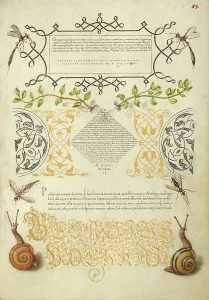 Basil Prints: Insects, Basil Thyme, and Land Snails